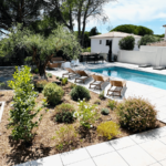 Magnifique jardin méditerranéen avec l'olivier centenaire de la Villa Réal à Puget-sur-Argens